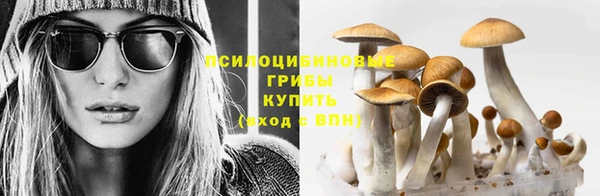apvp Балахна