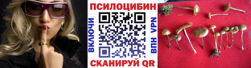ссылка на мегу рабочий сайт  цены   Каменск-Шахтинский  Псилоцибиновые грибы MAGIC MUSHROOMS 